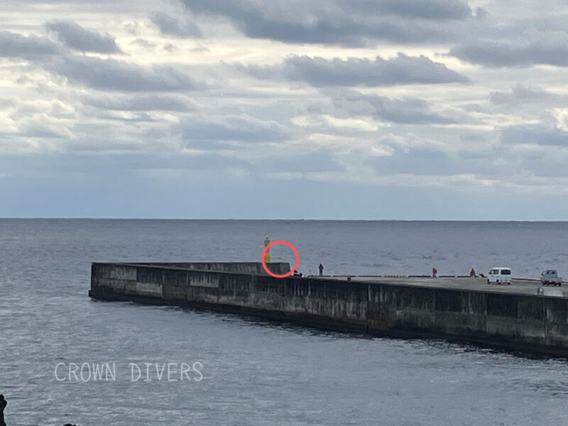 防波堤のすぐ目の前で背中を出しているザトウクジラ