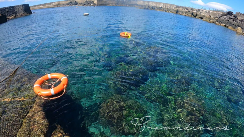 水が綺麗で水底までよく見える八重根の湾内