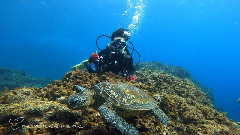 アオウミガメとダイバーの記念写真