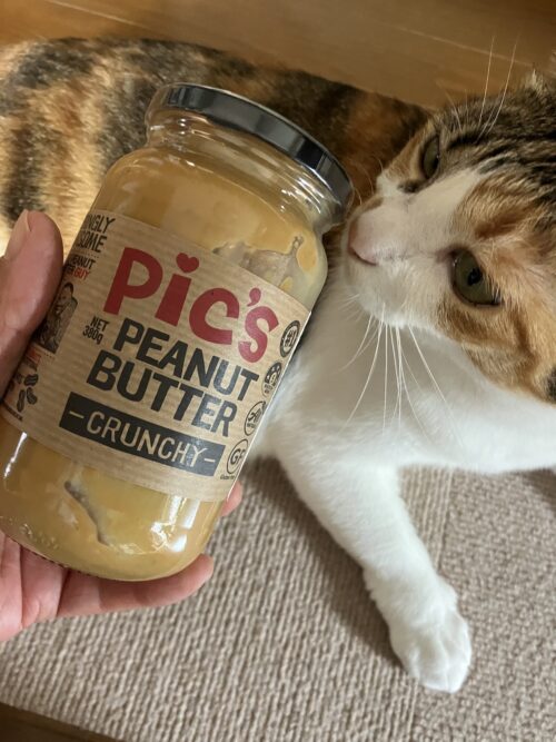 ピーナツバターと猫