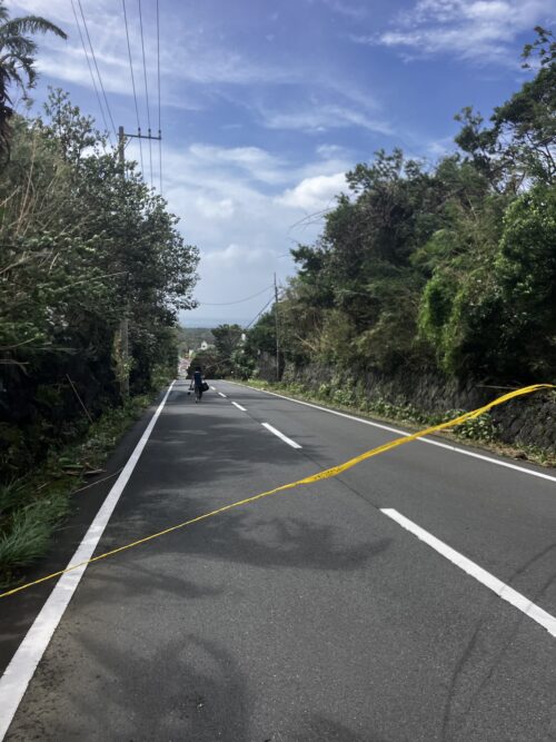 倒木があるので規制線が張られた都道