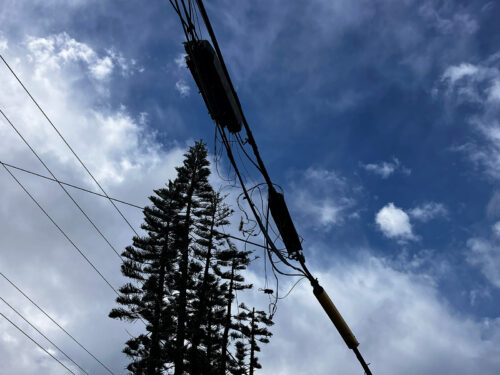 台風22号で切れた電線の一部