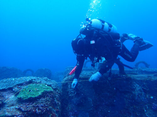 水中清掃をするダイバーたち