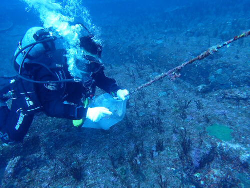 水中清掃をするダイバーたち