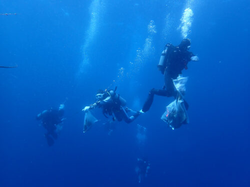 水中清掃をするダイバーたち