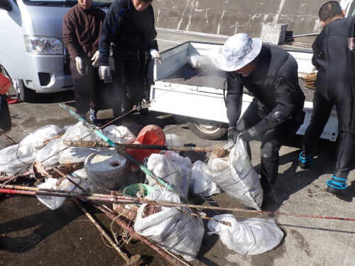 水中清掃をするダイバーたち