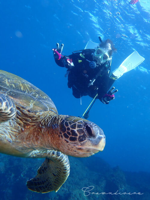 アオウミガメと一緒に記念写真を撮るダイバー
