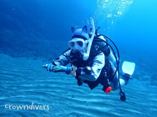 中性浮力で泳ぐダイバー