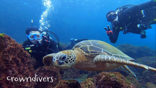 カメと一緒に泳いで記念写真とるダイバー